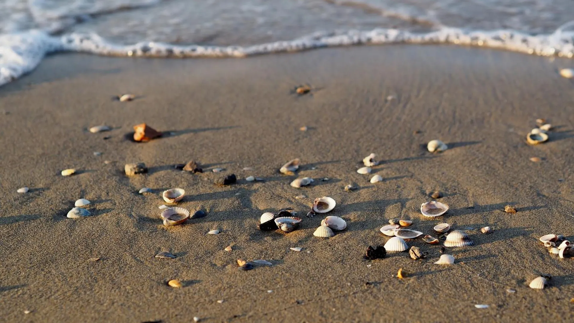 Spend Your Holiday In Our Beautiful Flat - Beahost Bibione Italy